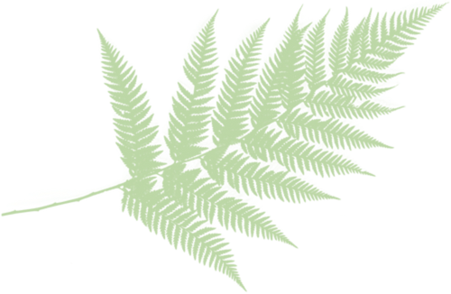 hoja decoracion 2